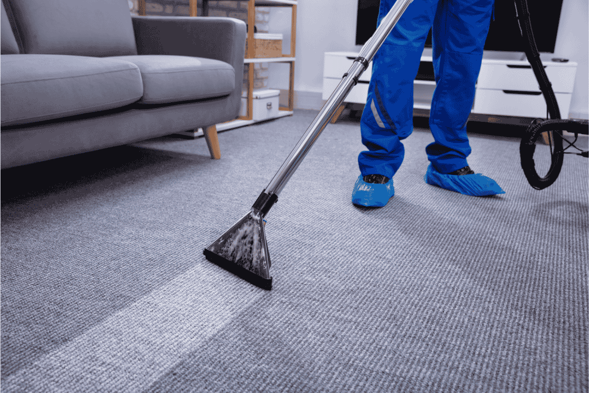 Carpet steam cleaning service