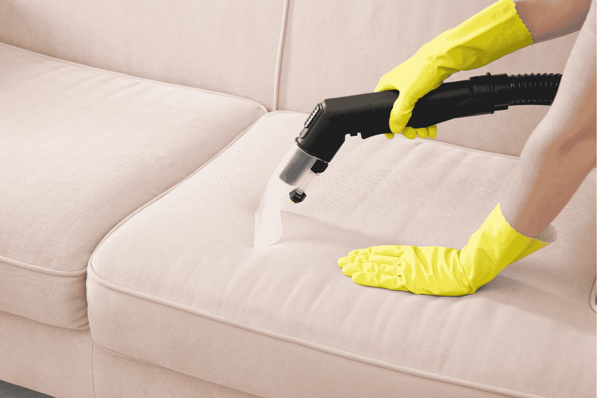 Couch steam cleaning service