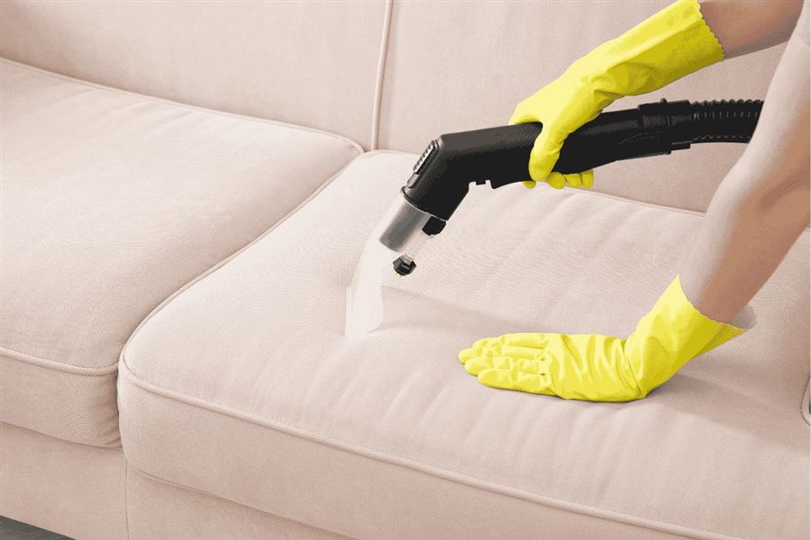 Couch steam cleaning service