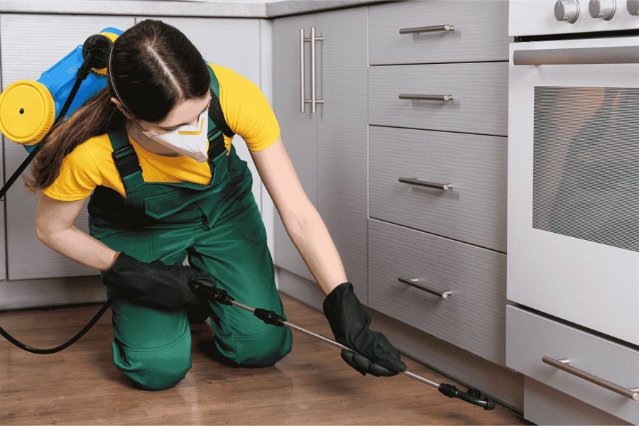 Pest control service