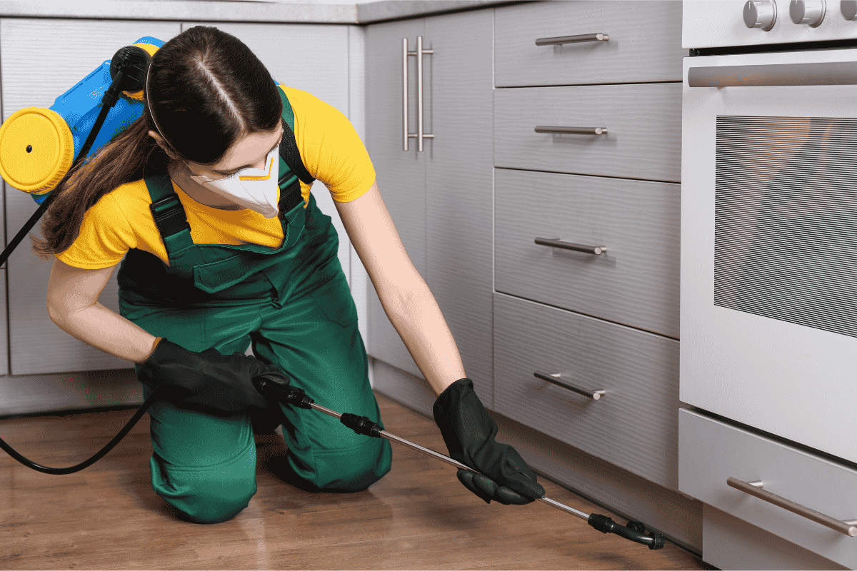 Pest control service
